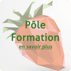 Pôle formation